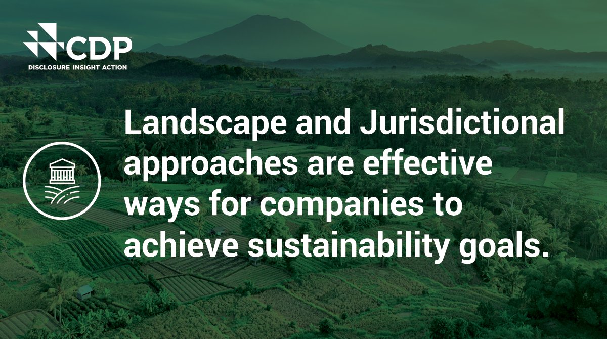 CDP's tweet photo. 🌲 Landscape and jurisdictional approaches help companies minimize risk in their supply chains through alignment with local stakeholders.
See why: https://t.co/HbdvtDRj1z
#CDPForests #COP26 #deforestation https://t.co/jrYQ9FMDRV