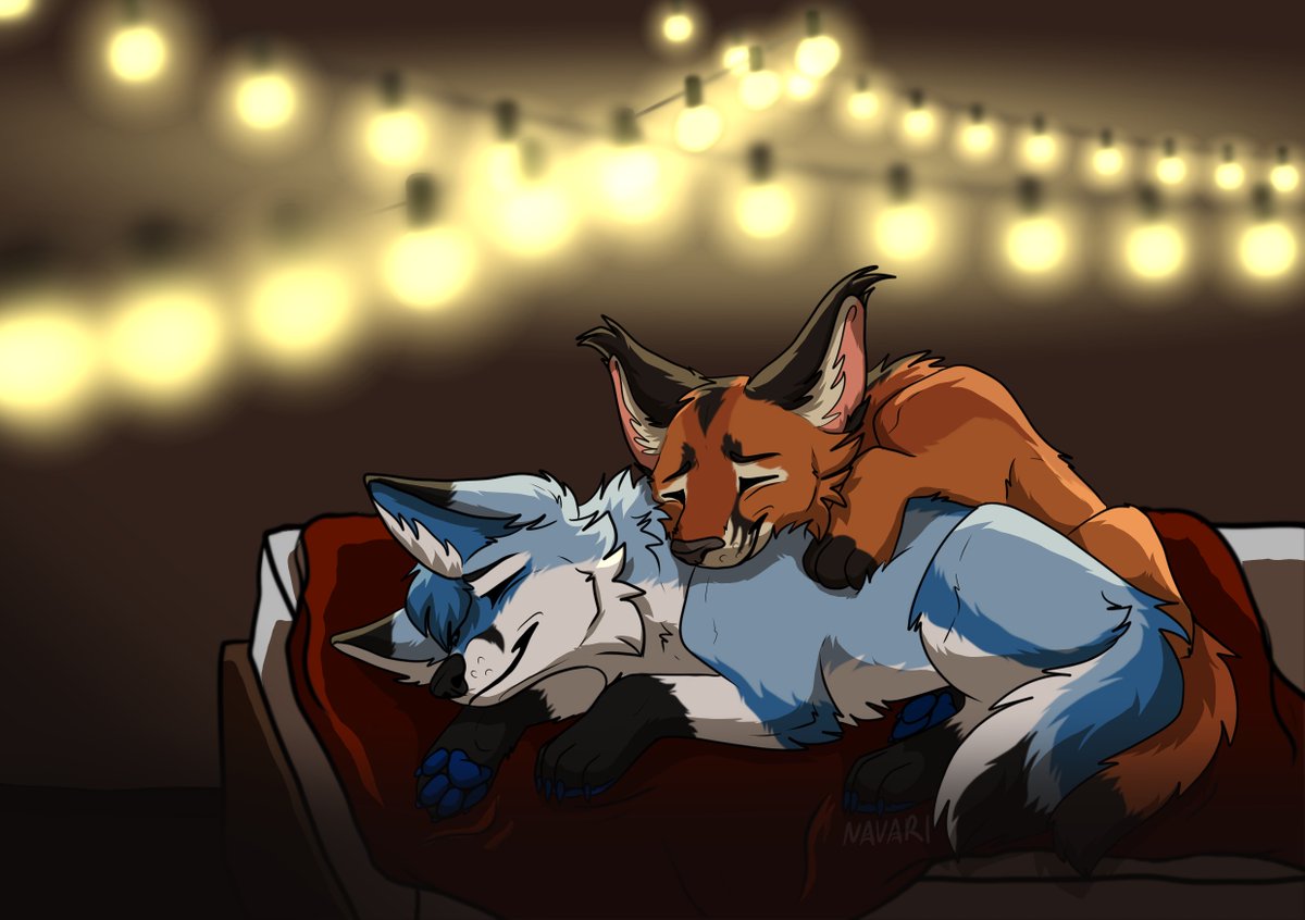 NavariCreation's tweet photo. Birthday present for @AuriFusky featuring @starzFur 💙

#furry #furryart https://t.co/Yb33seHso4