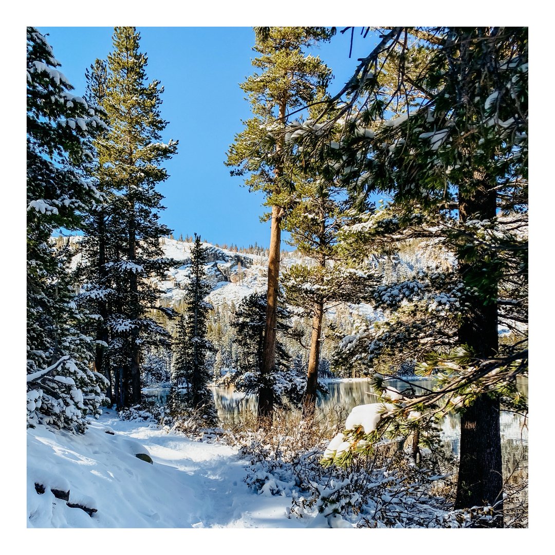 Happy #traveltuesday I can’t get enough of this season 🤍
*
*
*
 #travelawesome #instatravelgram #traveling #travelhub #travels #traveler #travelblogger #travelphotography #travelpic #travelbug #travelgirl #paulettemihale #travelmore #travelling #travelgram #adven #adventures