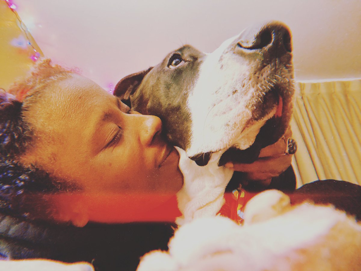 simp4tuesday's tweet photo. Can anyone help? My dog and I are about to get the boot at 11 and I don’t have anyone to ask or any resources to use. #mutualaid https://t.co/5pIlpEgEfX