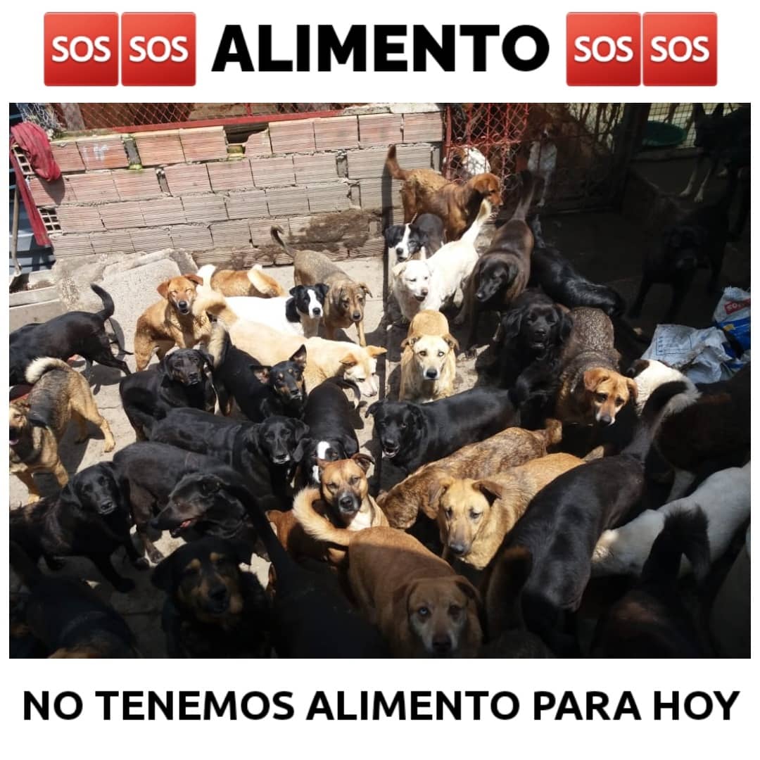 Fundación San Roque tweet media