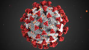 CERCLoyola's tweet photo. Concerned about the Omicron variant? Dr. Rachel Rubin, co-lead and senior medical officer for the @CookCoHealth, provides answers to some of your most pressing questions about this new variant. Read her responses at 
https://t.co/d3CJR6A8VM
#OmicronVariant https://t.co/khhpRy6FVJ