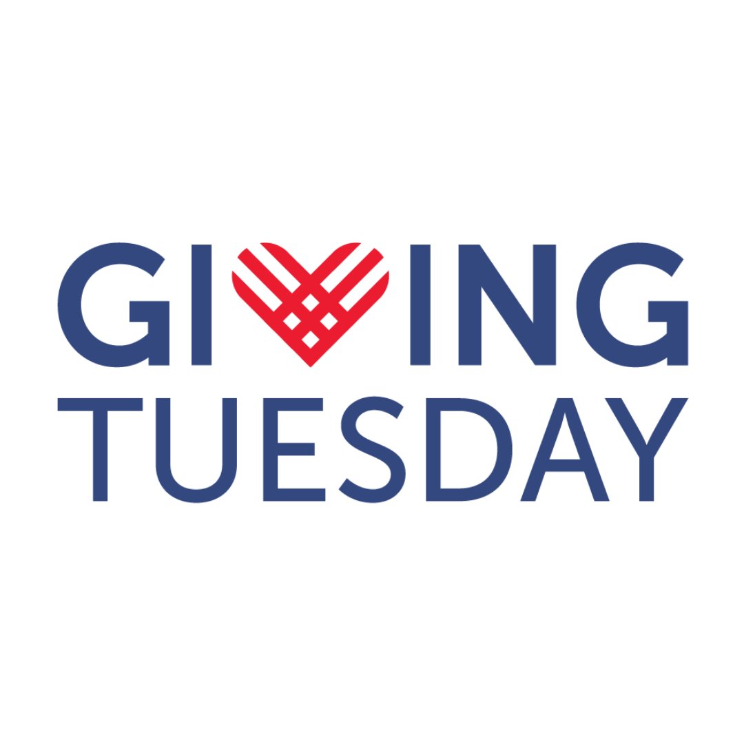 Join us this Giving Tuesday in our fight to Take Back Our Republic!takeback.org/donate/