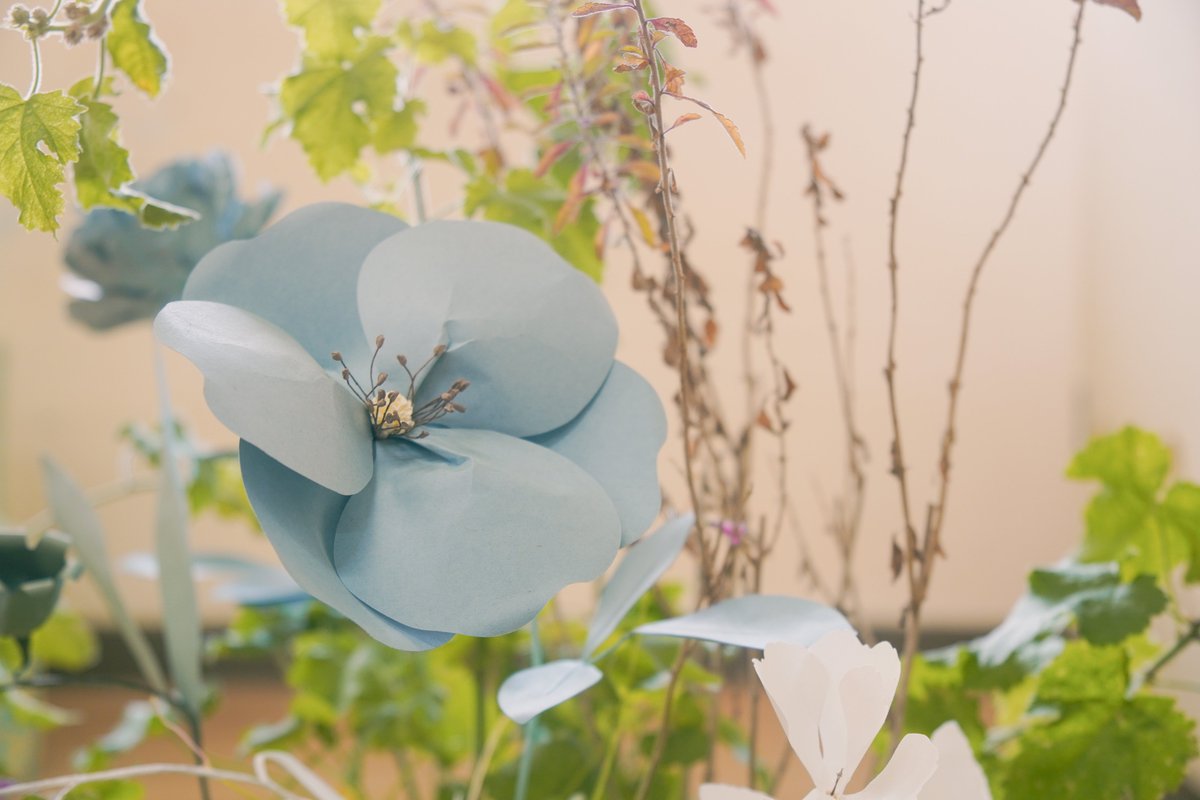 ichiharaartmix's tweet photo. 【はじまりと終わりの部屋に鮮やかな花を　–旧白鳥保育所からレポート–】
開幕10日目です。
本日より、篠崎恵美さんの作品《bedroom -where it begins-》を公開します。
教室に置かれたベッド。1日のはじまりと終わりを迎える場所が、フラワークリエイターの篠崎さんにより、生花と紙の花で彩られます https://t.co/IvOklt9LhU