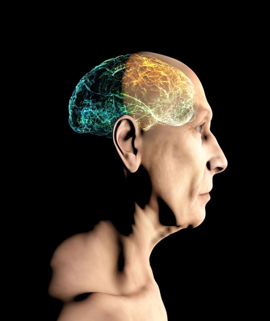 MundoMayor's tweet photo. Pues resulta que también tenemos células madre en el cerebro.
Así que se acabó la escusa de que, como "eres viejo" ya no te da la sesera.
https://t.co/S7h3sY2KXW
#neurogénesis #celulasmadre #steamcells #neuronas https://t.co/WmDZhZGWKK
