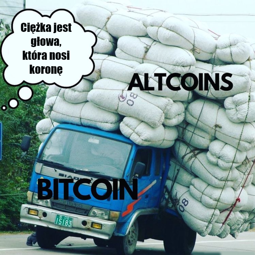 BithubH's tweet photo. Król jest jeden🙃👑
.
.
.
#Bitcoin #BTC #cryptomemes #cryptocurrencies #kryptowaluty #Crypto #HODL #cryptocurrency #buyandhold #altcoins https://t.co/gTmTJBVSZ2