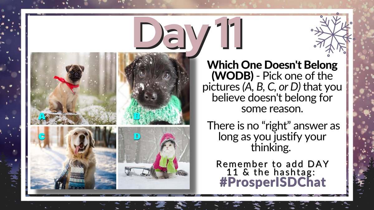 mrsjacksonELAR's tweet photo. Day 11 of the 12 Days of Twitter: Pick one of the images below and tell which one doesn't belong and why. 

Remember to start your tweet with Day 11 and add #ProsperISDchat https://t.co/7SjD8vKfJx