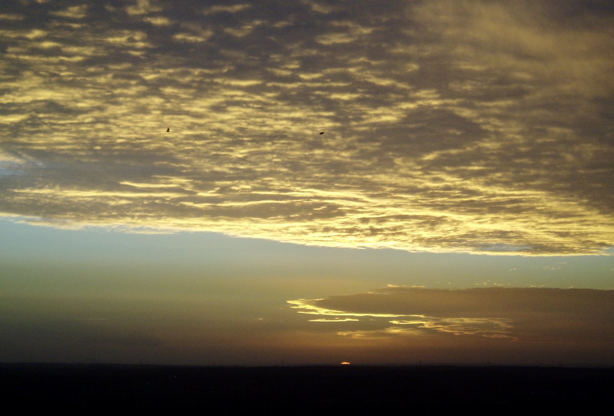 Cloudwatcher32's tweet photo. Skies from the archives #9
Sunset from Lincoln Edge - eight years ago today!
30Nov2013
@StormHour @ThePhotoHour @CloudAppSoc
#GuessCloud #skies #sunset #goldenhour https://t.co/sJrZZ8kdS6