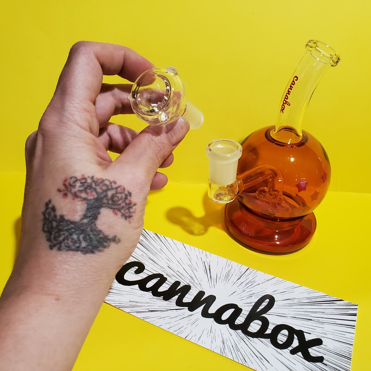 edohpa's tweet photo. #Cannabox ~ November Blaze Box
Cannabis Friendly, 420 Minded, MMJ Patients & More!
Get 10% Off w/ My Link
https://t.co/miyJTVeZAb
#SubscriptionBox #November #Blaze #Unboxing #TShirt #Glass #Raw #MangoWraps #Stickers #Sesh #ClipperJet #DragonBall #Grinder #DragonBallGlass #HGG21 https://t.co/fN5g76m9sS