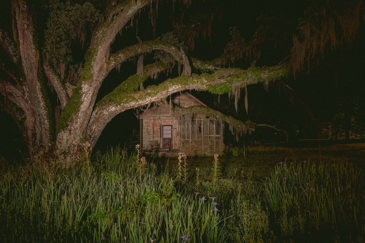 briscoepark's tweet photo. Photos I took in Louisiana https://t.co/giHjUsKX08