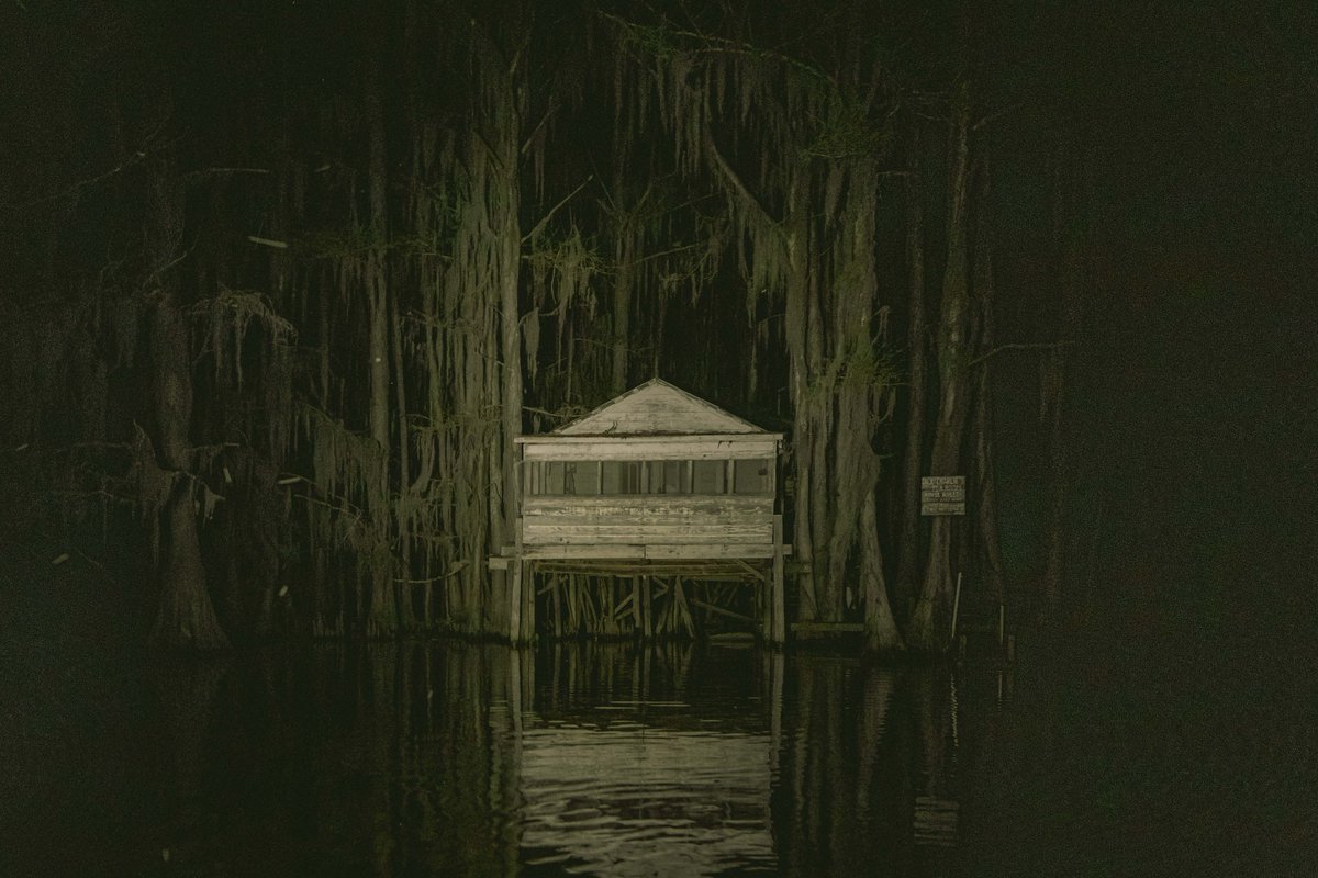 briscoepark's tweet photo. Photos I took in Louisiana https://t.co/giHjUsKX08