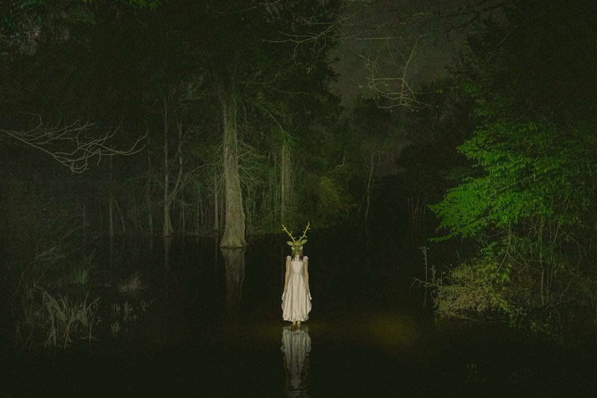 briscoepark's tweet photo. Photos I took in Louisiana https://t.co/giHjUsKX08