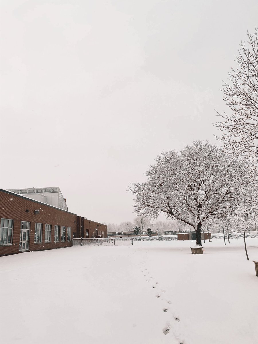 A beautiful snowy morning <a href="/louisearbourfi/">Louise Arbour FI</a> ! Perks of 8am supervision - coming outside to all the untouched powdered snow! ❄️💙🤍❤️