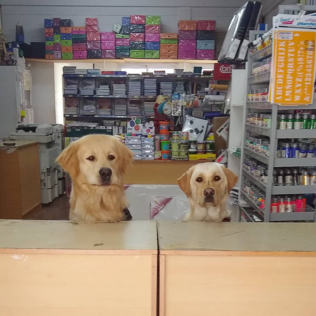 - Hola, está el jefe?
- Si, ahora lo llamo.
- ...