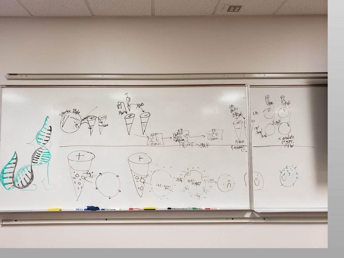 Ok Nerd Friends, its time to play name that lab!