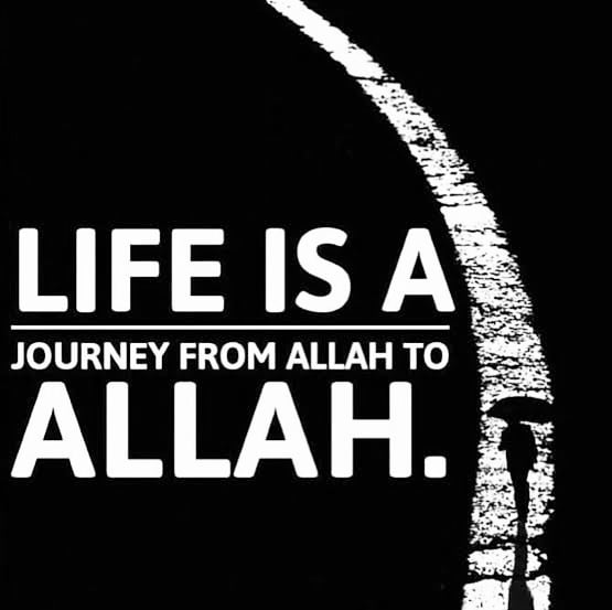 tbh_aimyy_'s tweet photo. Learn more about Islam before death approach.
.
 #globemuslim #life #journey #allah #travel #sky #star #all #nature #organic #money #poor #islam #muslim #londonmuslim #globalmuslim #muslimah #learn #entrepreneur #spread #message #bloggers #follow #share #like #twitter #RETWEEET https://t.co/MHnD0TLvim