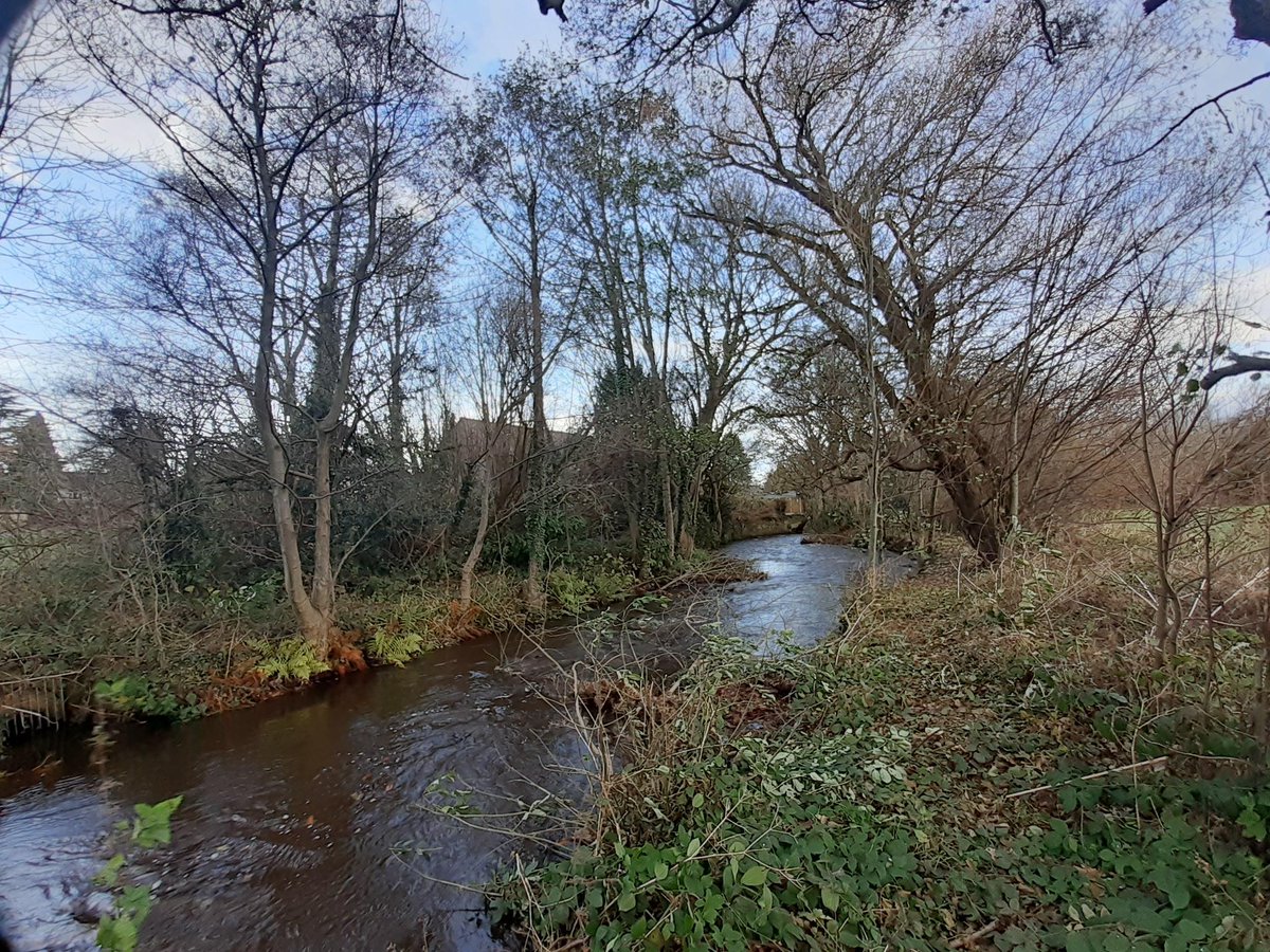 Thanks for the underwater photography training today @DonCatchmentRT it was sooo nice to be in the river!!! <a href="/Trent_R_Trust/">Trent Rivers Trust</a>