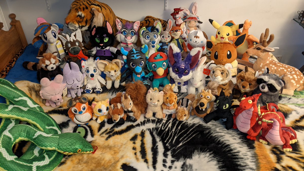 🇨🇦 Floofy Logic 🏳️‍⚧️ tweet media