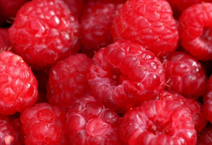 IBEX Grows tweet media