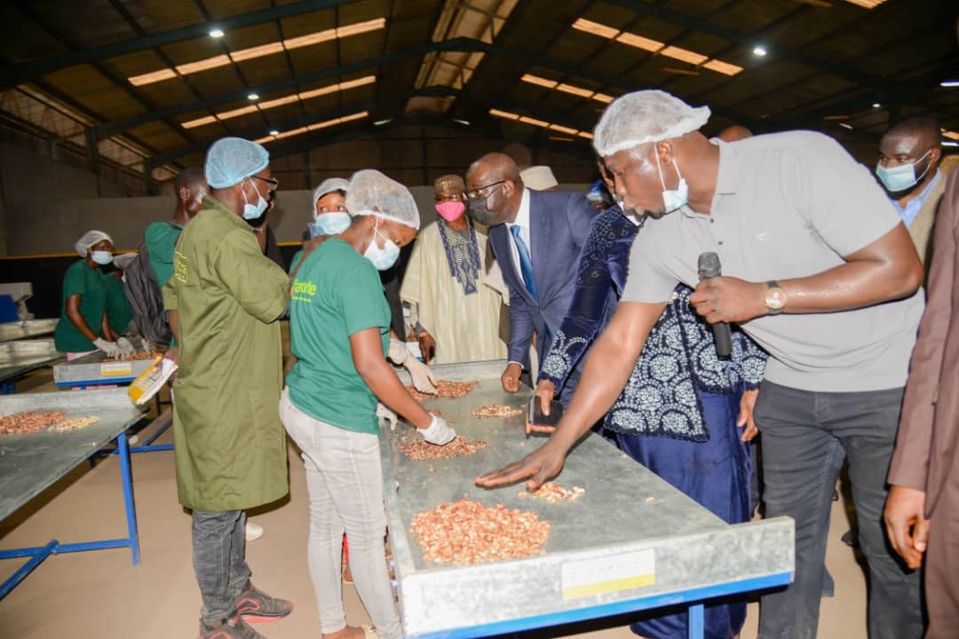 Governor Obaseki commissions 5,400MT per annum cashew processing factory, tasks youths to embrace opportunities in agribusiness.