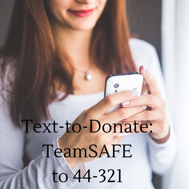 safefoodpantry's tweet photo. Text-to-Donate “TeamSAFE” to 44-321 to make a difference! #TeamSAFE #GivingTuesday https://t.co/lL7hbhjRzD
