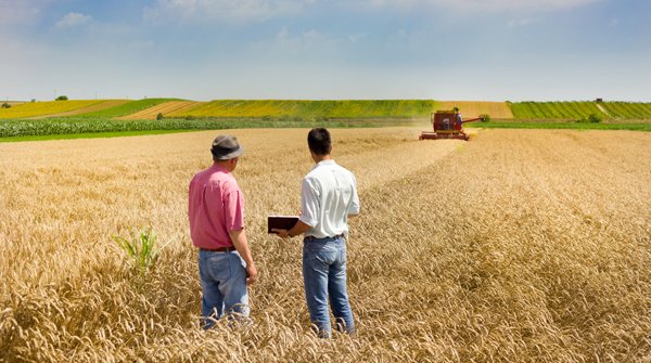 AscenzaCorp's tweet photo. Did you know that agriculture is the sector that provides the largest number of jobs in the world?โ
At ASCENZA we work together with our farmers. Only this way makes sense and that is the only way we can keep our brand promise: FARMING YOUR FUTUREโ #ascenza #farmingyourfuture https://t.co/NHjgKK1oCH