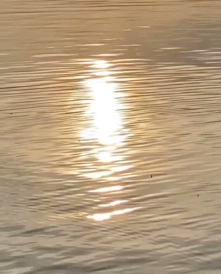 เดือนใหม่ เดือนสุดท้ายของปีแล้ว ปีนี้อาจจะแย่หรือไม่ได้ดั่งใจบ้าง แต่ขอให้หลังจากนี้เจอแต่เรื่องดีๆเลยนะครับ อาการค่อนข้างหนาวเลย อย่าลืมห่มผ้าด้วยนะ ดูแลสุขภาพกันดีๆนะครับผม พรุ่งนี้ใครที่ซื้อหวย ขอให้ถูกหวยขอให้รวยนะครับ !