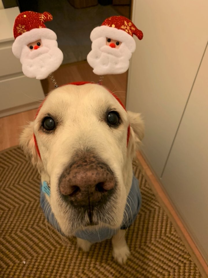 nimecay's tweet photo. Ben: artık saçma alışverişler yapmamalıyım.
Yine ben: oğluma noel baba tacı alayım. https://t.co/Sz1mCxylll