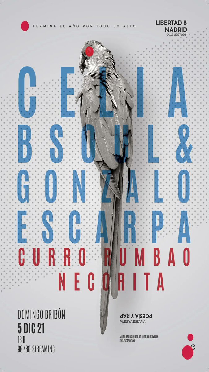 Celia_bsoul's tweet photo. Este domingo, @CurroRumbao y yo nos juntamos con @gonzaloescarpa y @Necorita para dar el último concierto en acústico del año. 

🦜Rap, rock, poesía y jolgorio. A las 18h en @cafelibertad8 

🎫https://t.co/vekhbdhjDr https://t.co/0RhvzvDzzN