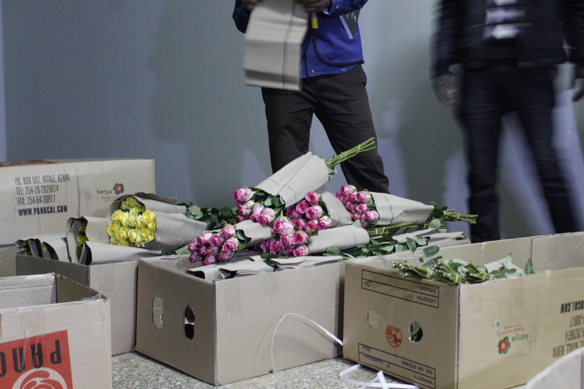 KenyaAirports's tweet photo. The airport, while working closely with flower and horticultural farmers in the region, aims to be exporting at-least 35 tonnes per load by March next year. https://t.co/aVUevGoQAE