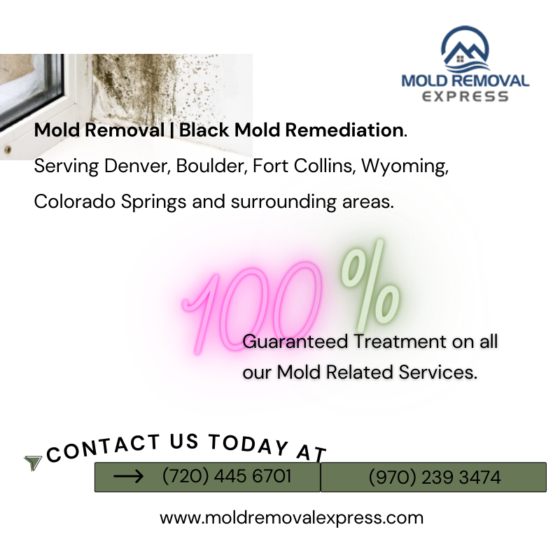 MoldRemovalXP's tweet photo. Top Rated Mold Removal, Testing and Black Mold Remediation services. Serving #Denver, #Boulder, #FortCollins, #Wyoming, #ColoradoSprings and surrounding areas.
-
Call us today to book an appointment (720) 445-6701 | (970) 239-3474 | (719) 344-2222 https://t.co/WFbJBuDE0Z