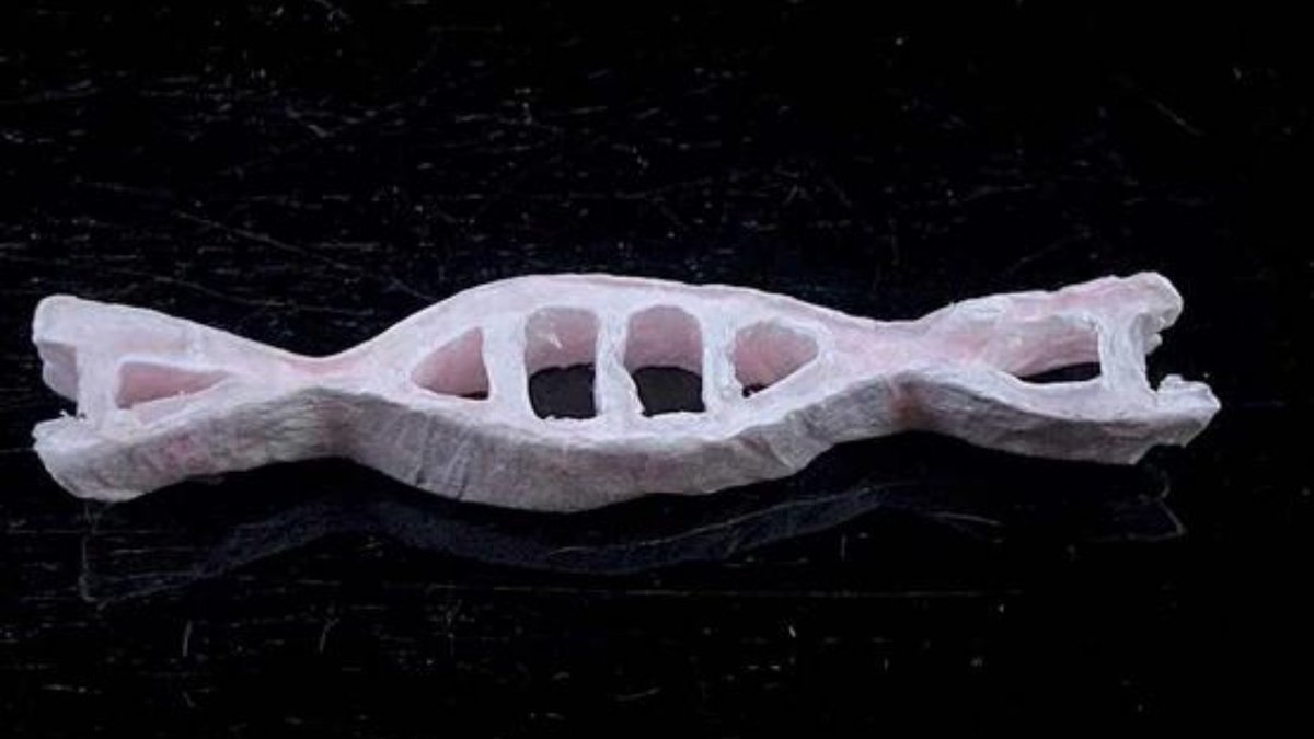 euronewsgreen's tweet photo. The gel is then moulded into different shapes and freeze-dried 💠

This removes the moisture, which makes it solidify 💪

And wham, bam, thank you ma’am, you have environmentally friendly sperm plastic 😌

👉 https://t.co/zT1tcCXvVt https://t.co/5RHaDwdPCv