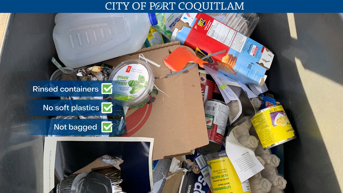 CityofPoCo's tweet photo. An example of a properly-sorted recycling cart! ♻️ 😊
The City's contamination rate is too high– meaning we’re sending too many items that do not belong in our blue carts.
Help #SortitRight & avoid fines. Download Sort & Report app. Info: https://t.co/NIIpRdvF8J
#CityofPoCo https://t.co/Mz9SSA1WoJ