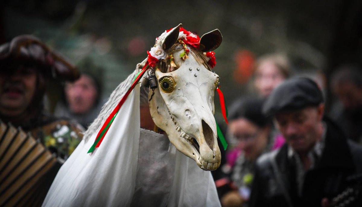 мари луид монстр. Mari lwyd серая лошадь. мари lwyd. Mari lwyd. Mari lwyd.