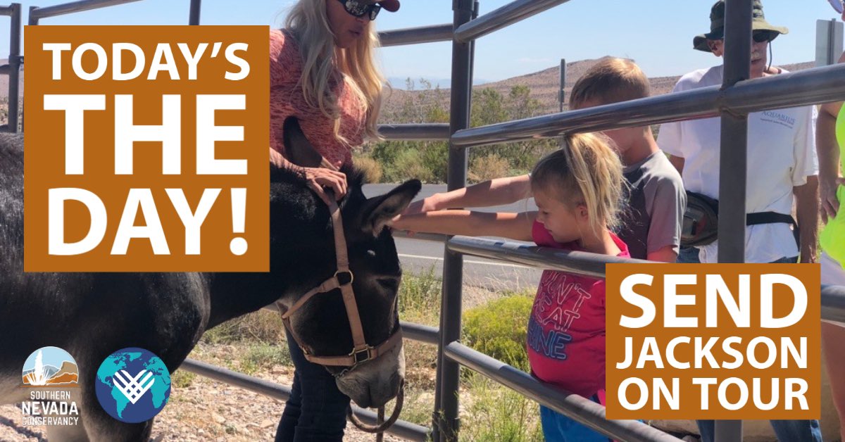 snconservancy's tweet photo. Send Jackson the Burro on tour with your #GivingTuesday gift 
🐴We're working to extend Jackson’s range so he can travel throughout Clark County, giving kids the chance to learn about wild horses &amp; burros, before they ever step foot on a trail!
https://t.co/SNRtrqXufA https://t.co/SKD2u2PY8H