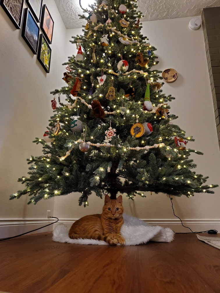 Copernicus knows how to pose.