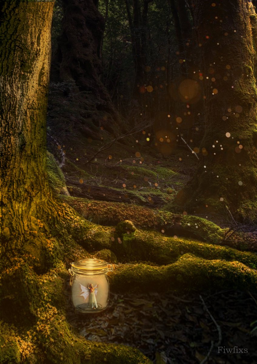 fiwfixs's tweet photo. FairyTopia
#fantasy #Fairy #photoshop #photography  #artwork https://t.co/qWrBt8S8qn