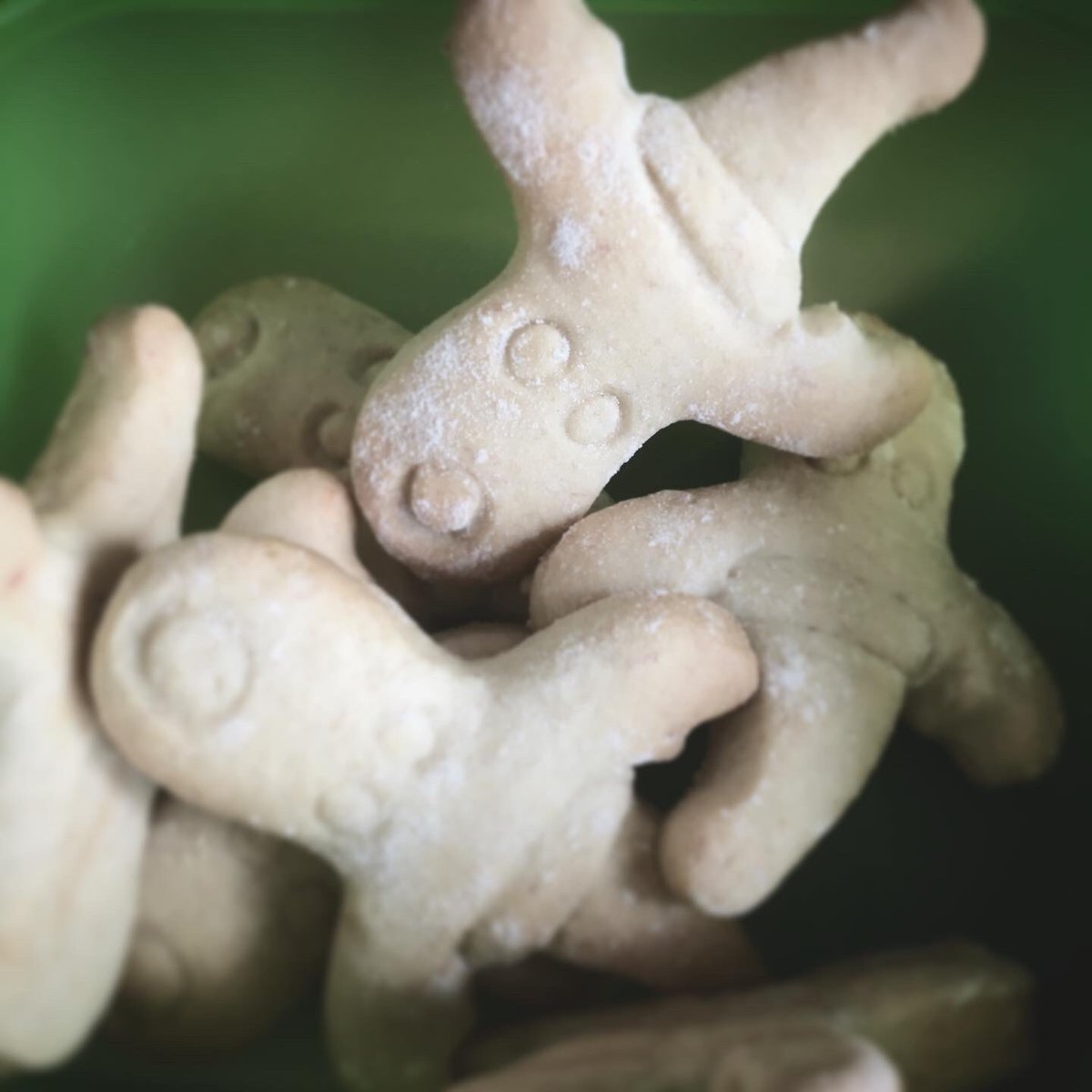 theDanielJLogan's tweet photo. Moose biscuits to help get over the cold weather yesterday. Now I’m fully defrosted and working on multitracks in my client’s own studio; ready to mix them at my new Fox Barn Studios in Cheshire  #producer #biscuits #moose #recordingstudio #cheshire https://t.co/MUAHx7hCXO