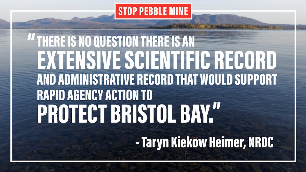 UnitedTribes_BB's tweet photo. We are so grateful to see @EPA resuming work on permanent protections for Bristol Bay - and we hope to see the agency work quickly to finish the job! #VetoPebbleMine #StopPebble #ProtectBristolBay https://t.co/lbaqoW3kIL
