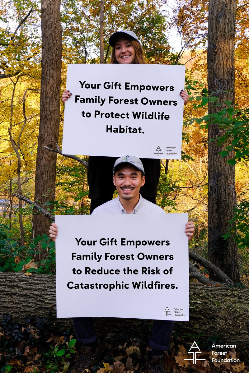 AmForestFndn's tweet photo. When you support AFF on #GivingTuesday, you’re empowering family forest owners to create conservation impact, like reducing #wildfire risk and increasing carbon storage.

Join us today 👉 https://t.co/i3LOop3yHS https://t.co/SQuFT8myR8