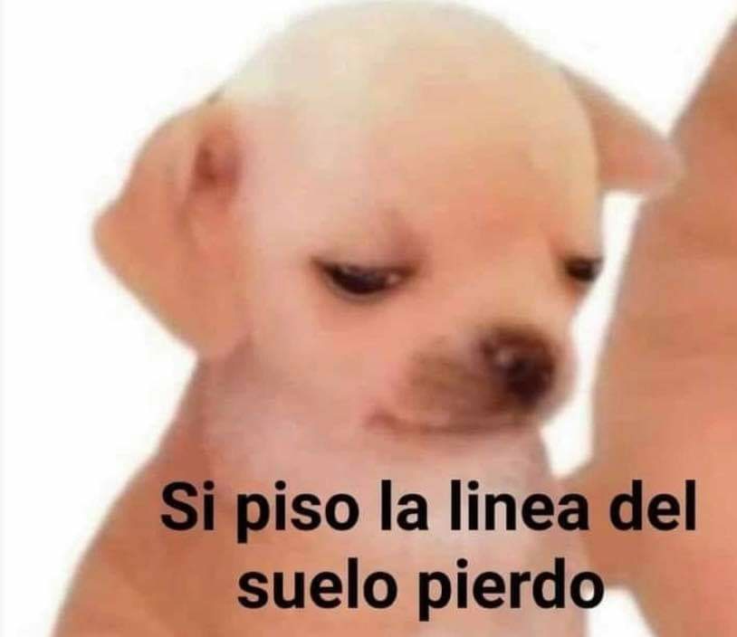 SoyFedelobo's tweet photo. Tu novia: ahora qué hice, viene muy callado

Tu: https://t.co/gLK7RR6mvK