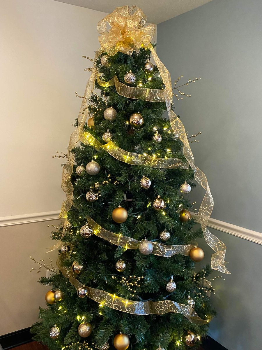 Greenleaf_HC's tweet photo. Our #bffs enjoyed decorating their Christmas tree https://t.co/SYclRTmWuD