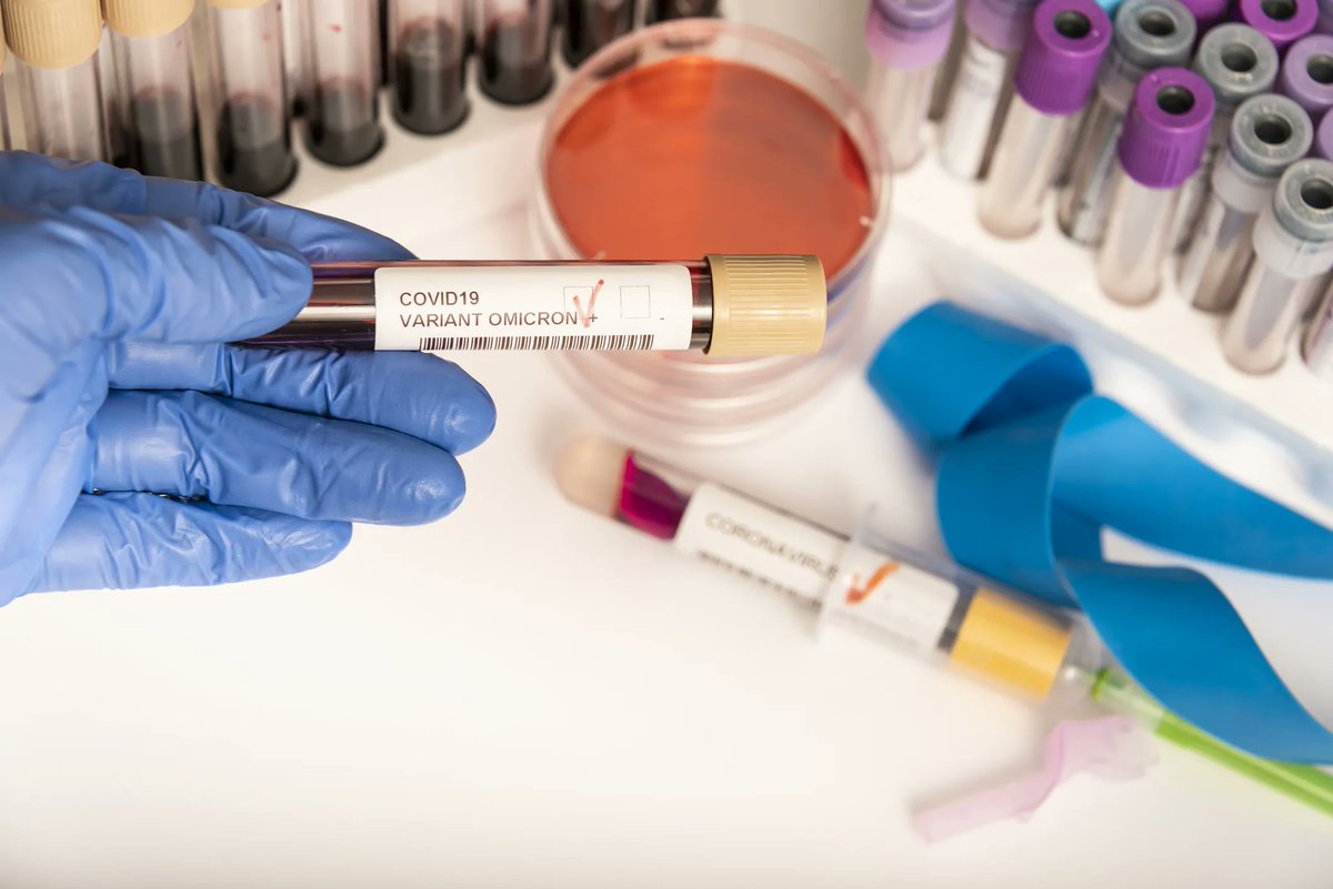 SCC Business Council tweet media