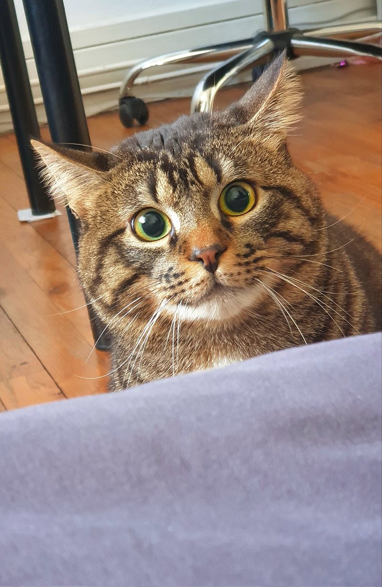 ademu__'s tweet photo. C'est illégal d'avoir cette BOUILLE https://t.co/gFBVggavFQ