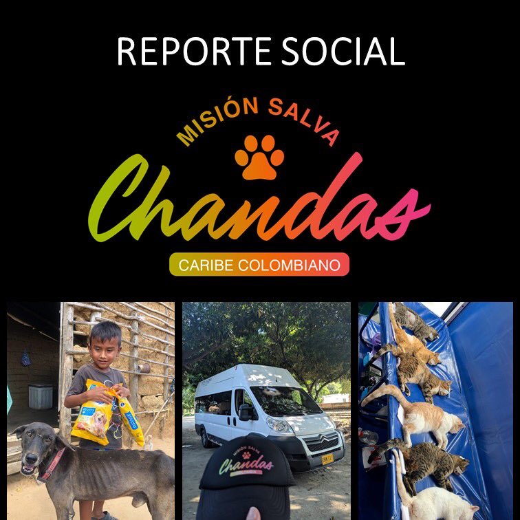 ArcaLuminosa's tweet photo. REPORTE SOCIAL- MISIÓN SALVA CHANDAS 🏝🐾🚑 Gracias totales, #misionsalvachandas es un sueño hecho realidad 🙌🏼 la historia de los animales desde Santa Marta hasta la alta Guajira ya empezó a cambiar; 600 esterilizaciones que evitan 7.200 nacimientos en solo 1 año 😱 https://t.co/bsHjUvd15G