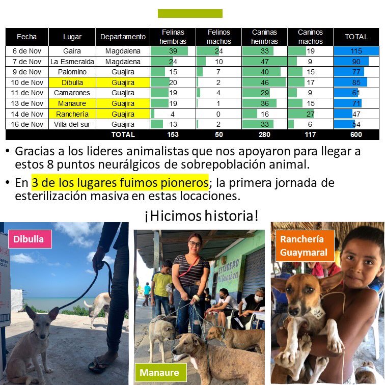 ArcaLuminosa's tweet photo. REPORTE SOCIAL- MISIÓN SALVA CHANDAS 🏝🐾🚑 Gracias totales, #misionsalvachandas es un sueño hecho realidad 🙌🏼 la historia de los animales desde Santa Marta hasta la alta Guajira ya empezó a cambiar; 600 esterilizaciones que evitan 7.200 nacimientos en solo 1 año 😱 https://t.co/bsHjUvd15G