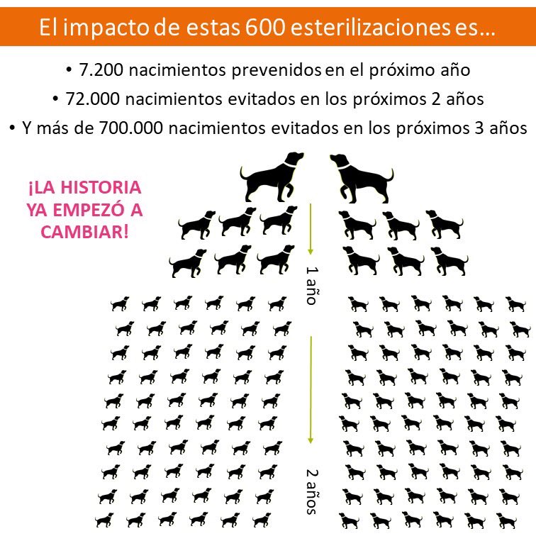 ArcaLuminosa's tweet photo. GRACIAS al equipo Arca + Veterinaria Chanicoker+ Callejeritos Col = Juntos logramos recaudar más de 42 MILLONES DE PESOS para hacer realidad esta misión 🤩👏🏻 Gracias a todos los que donaron recursos, medicamentos, tiempo y alimento; @PedigreeLatam @WhiskasLatam @cloudtenbrand https://t.co/oF29jZF1gA