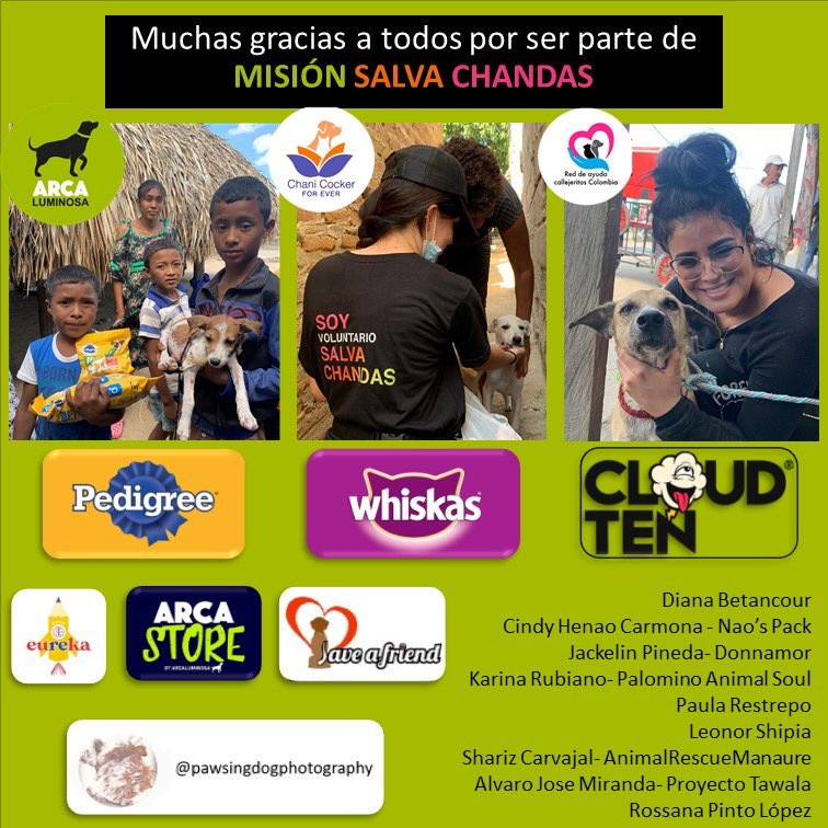 ArcaLuminosa's tweet photo. ¡ESTERILIZACIÓN Y EDUCACIÓN! La única forma de transformar la realidad de los animales en la Guajira ✅ Esta es la primera de muchas #MisionSalvaChandas https://t.co/OjWDr6beuH