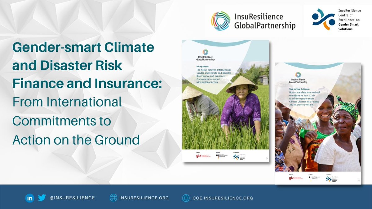 InsuResilience's tweet photo. 📣Hot off the press!
Check out our new publications in the InsuResilience #CentreofExcellence on #gender-smart solutions!
👉https://t.co/hOLokLbZEE
👉https://t.co/4JK3cxbyu8
#CentreofExcellence #Vision2025 https://t.co/WMsrNkEg6z
