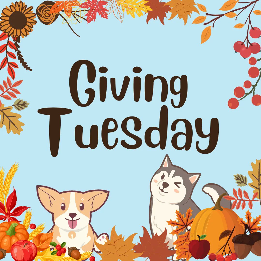 vetmeasure's tweet image. On Giving Tuesday, generosity becomes a worldwide movement. People generously give what they can to help those around them. Some volunteer while others may donate to a local animal shelter. How will you make a difference on this #GivingTuesday? 
#VetMeasure #Vets